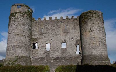 Love Carlow Project