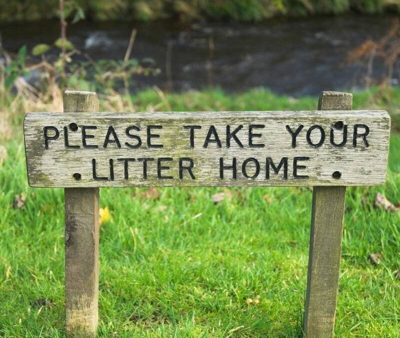 Love Carlow - Effects of Litter on Community