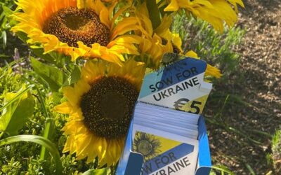 Sow For Ukraine – Sunflower Campaign