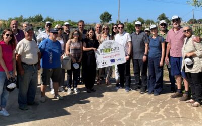 Carlow Participates in International Gardening Event