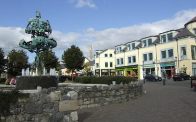 Love Carlow Liberty Tree Clean Up