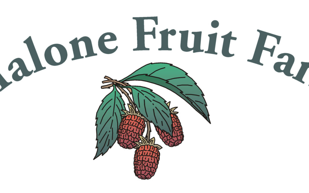 Malone Fruit Farm – Gift Baskets