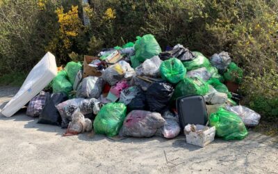 CARLOW COMMUNITIES URGED TO TAKE PART IN SPRING CLEAN CAMPAIGN