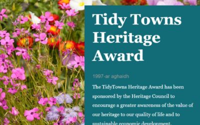 Tidy Towns Heritage Award – Applications Open