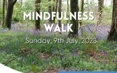 Mindfulness Walk