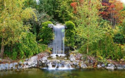 RTÉ One 1 TV – HOME GROWN – SERIES 2 – Episode 1 Wednesday 14th February 8:30pm Delta Sensory Gardens Carlow 2024  – Episode 7 – Wed 27th March RTÉ One 8:30pm