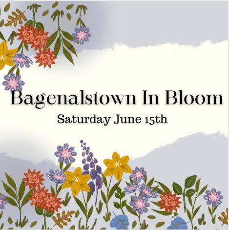 Bagenalstown in Bloom 2024 - Love Carlow